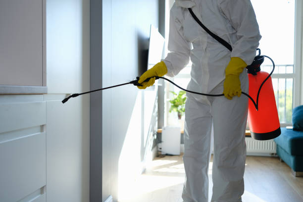 Best Mold Remediation for Specific Building Types in Tea, SD